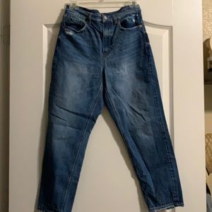 American Eagle Mom Jeans - Blue Path